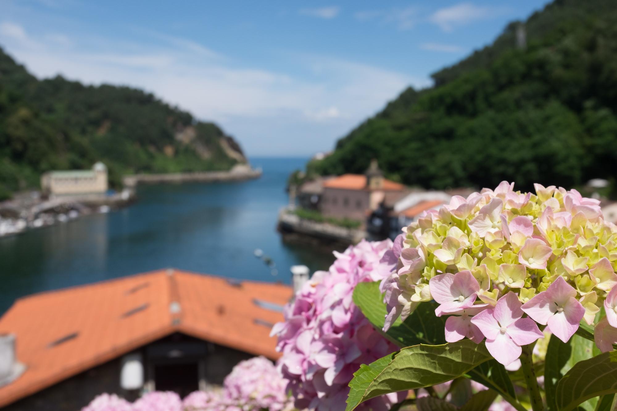 Scenic view of Pasajes de San Juan on the Camino del Norte