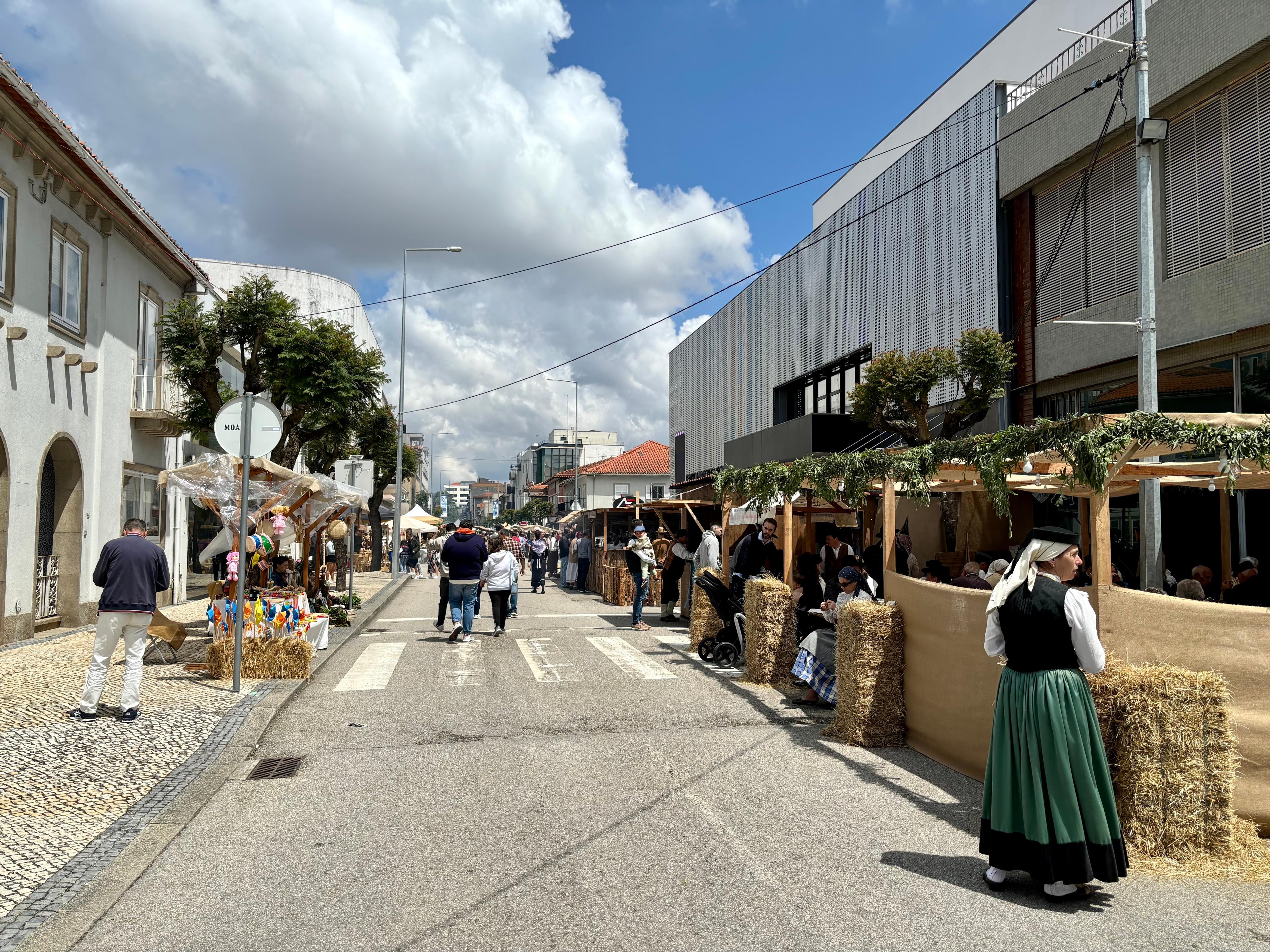 Scenic view of Oliveira de Azeméis on the Camino Portugués