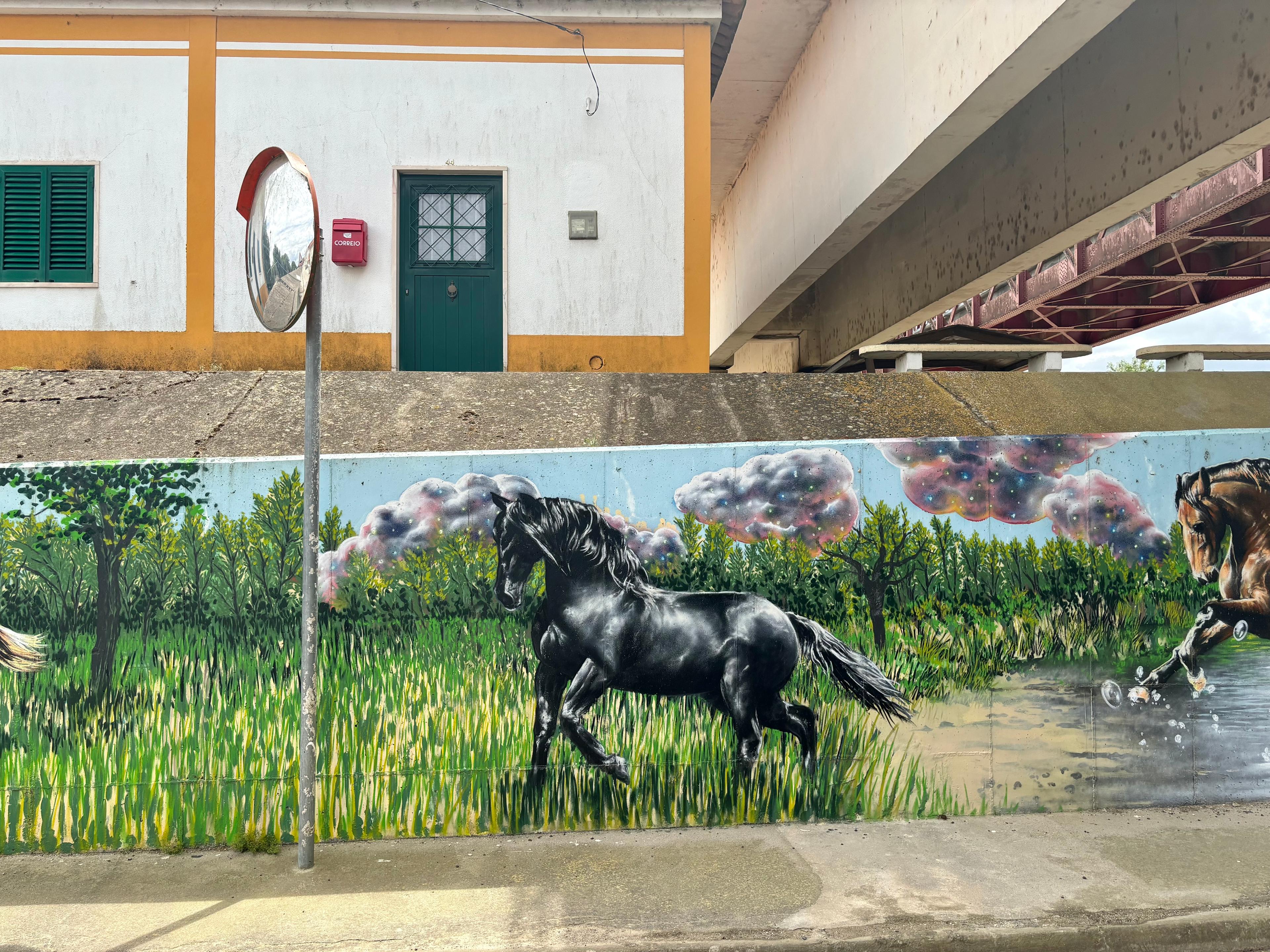 Scenic view of Porto Muge on the Camino Portugués