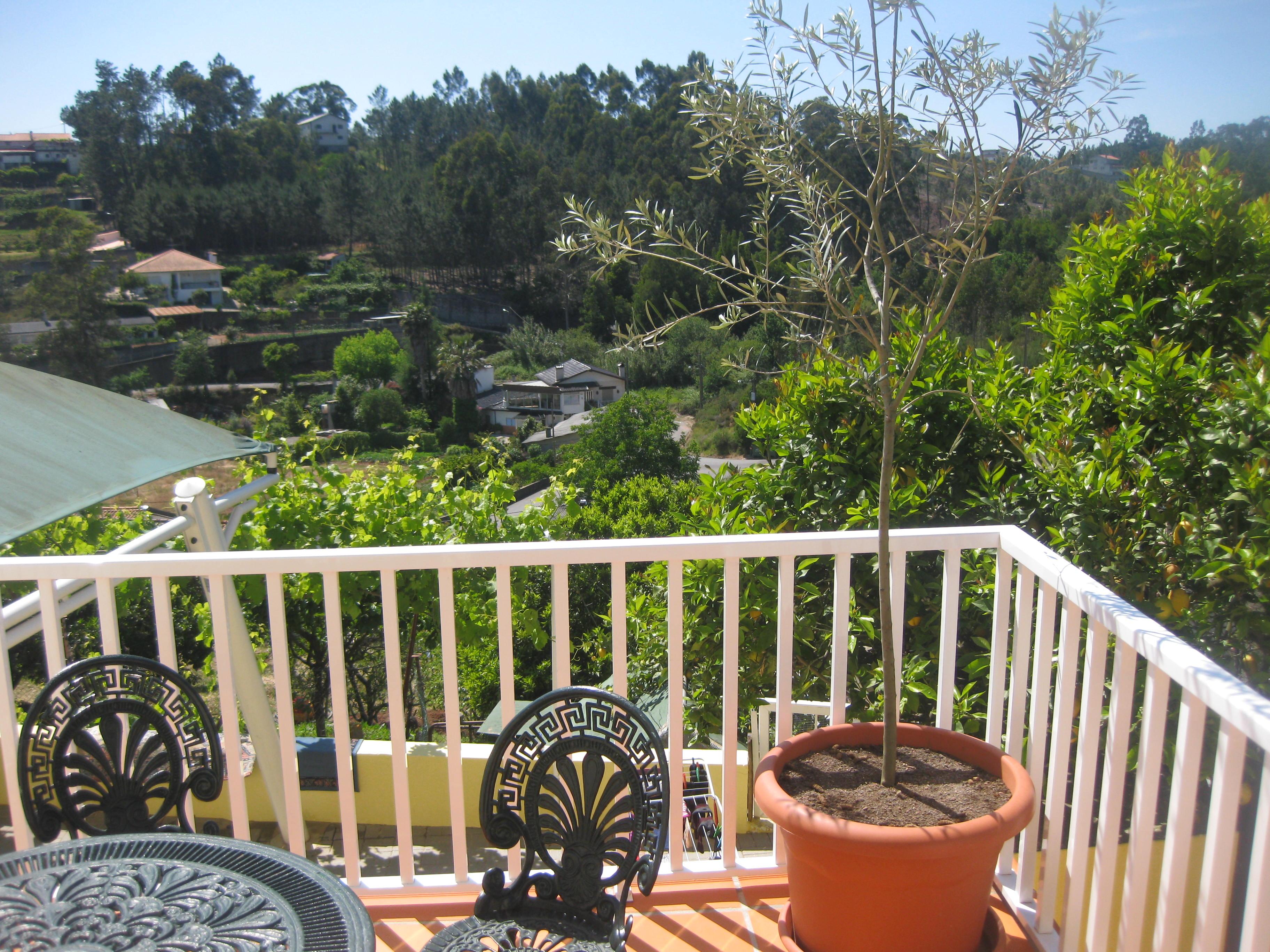 Camino de Santiago Accommodation: Residencial Celeste