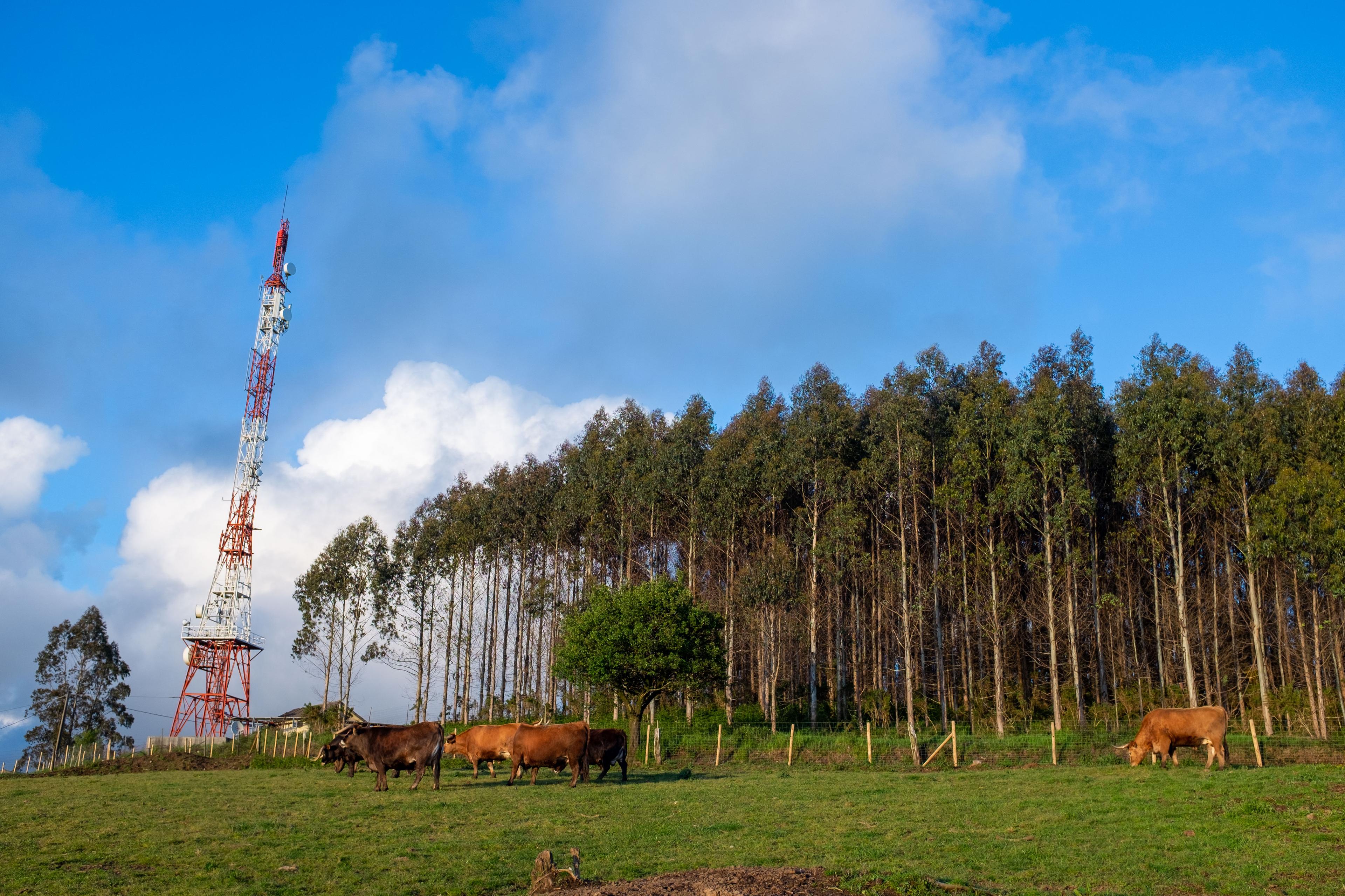 Scenic view of Santa Mariña de Beira on the Camino Inglés