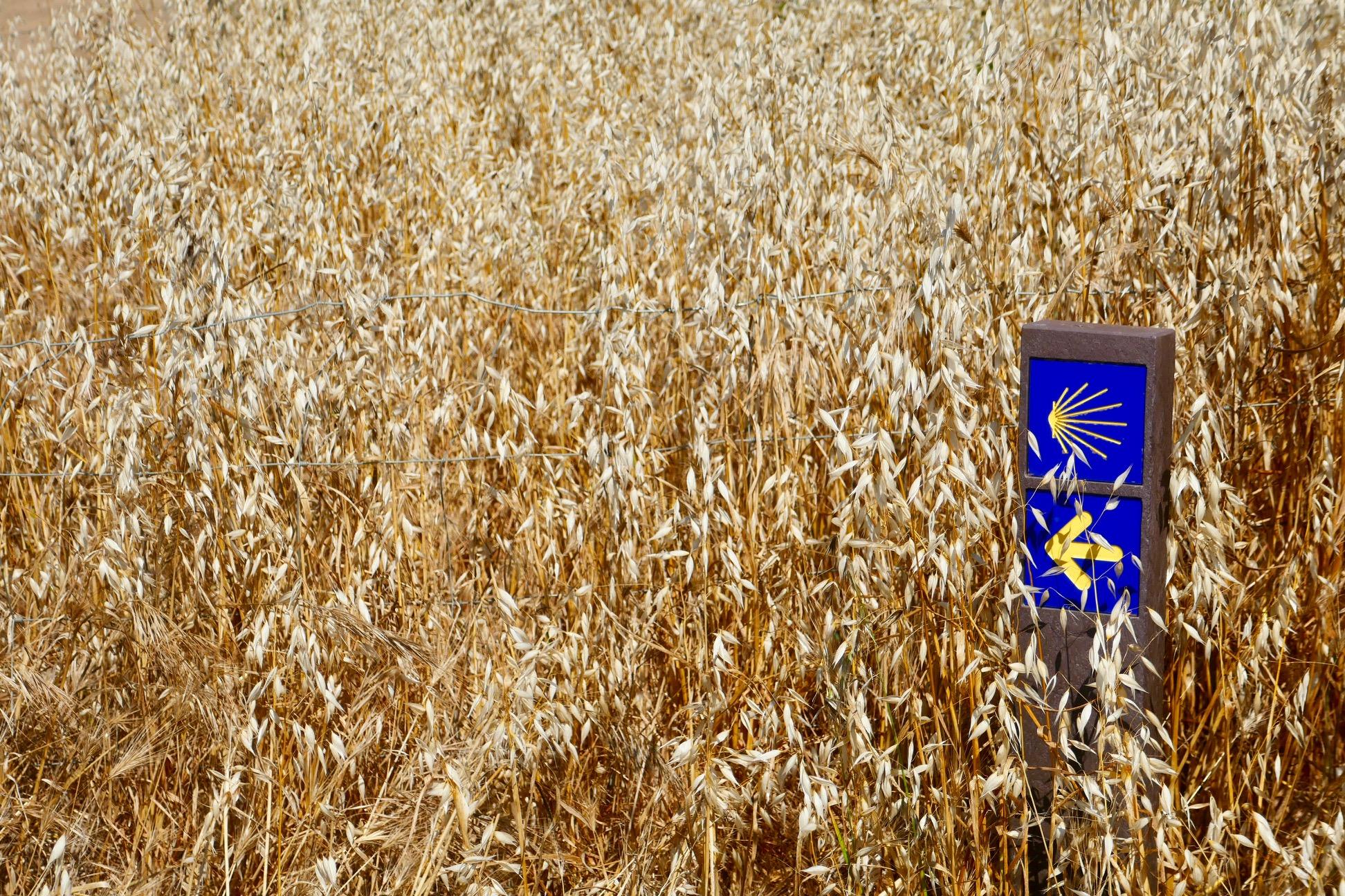Scenic view of Mosteiro (Nascente) on the Caminho Nascente