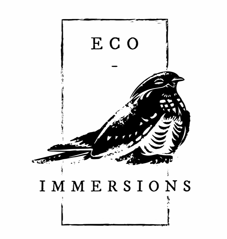 View of Eco Immersions