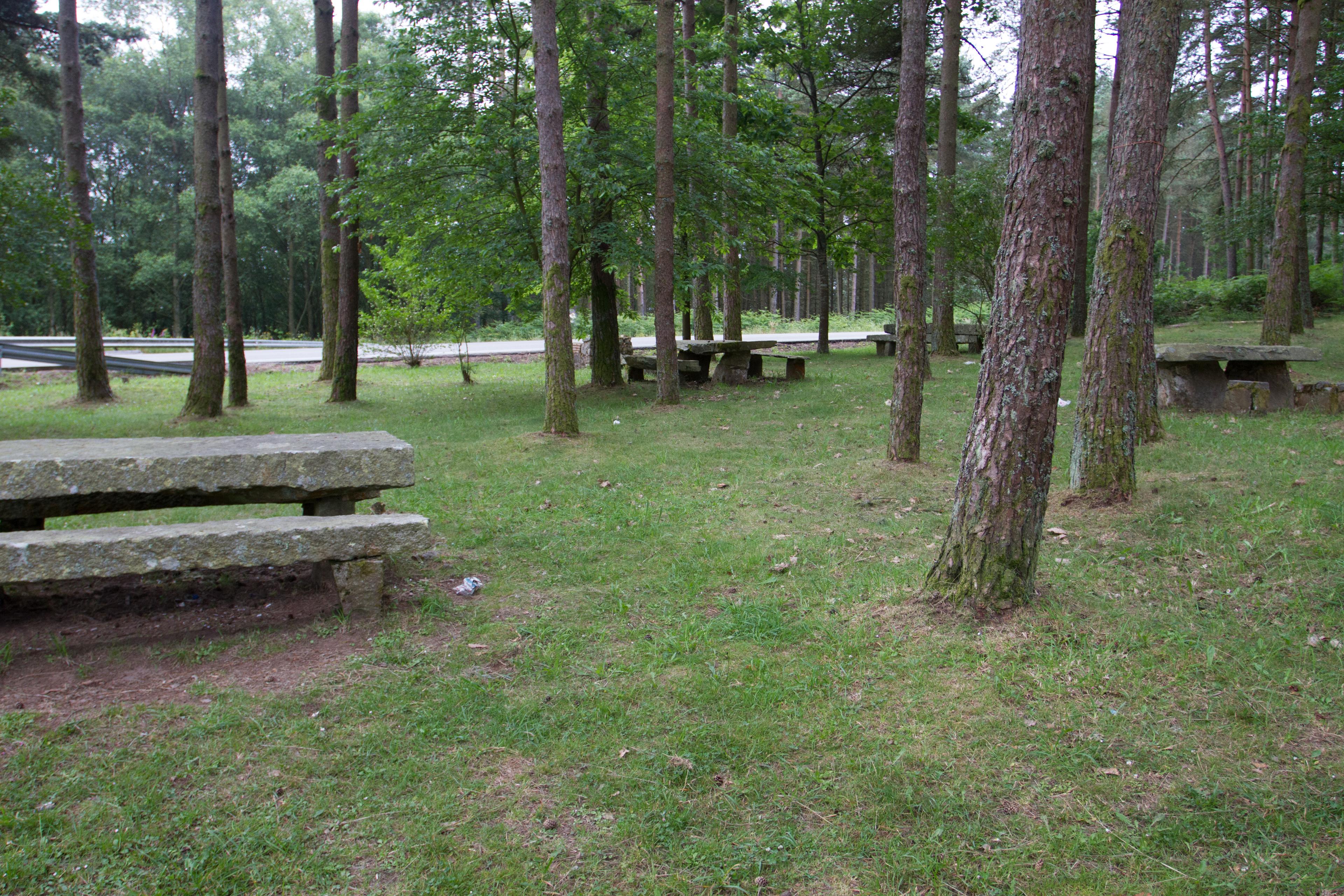 Scenic view of Villardongo on the Camino del Norte