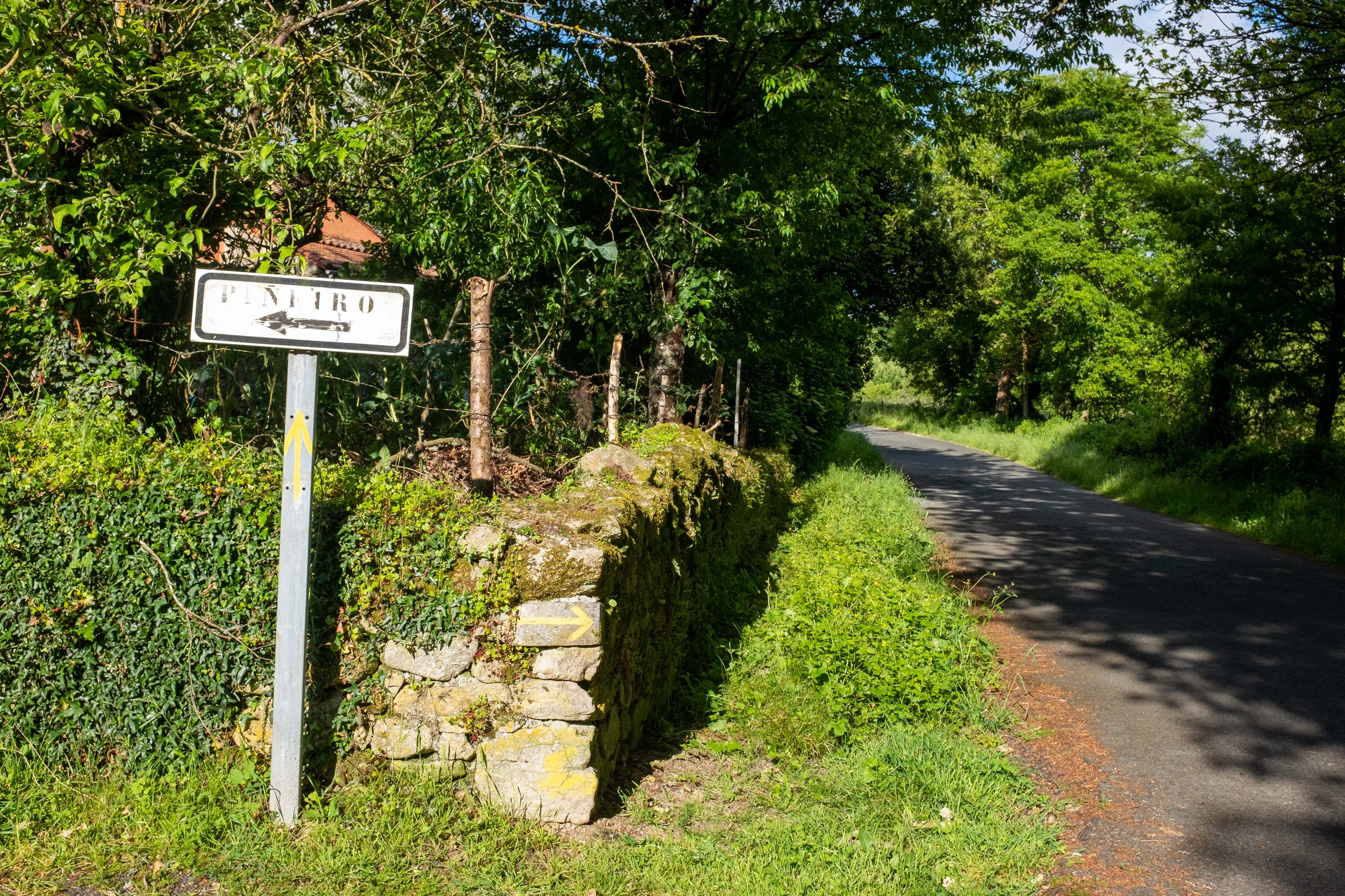 Scenic view of Piñeiro on the Camino Francés