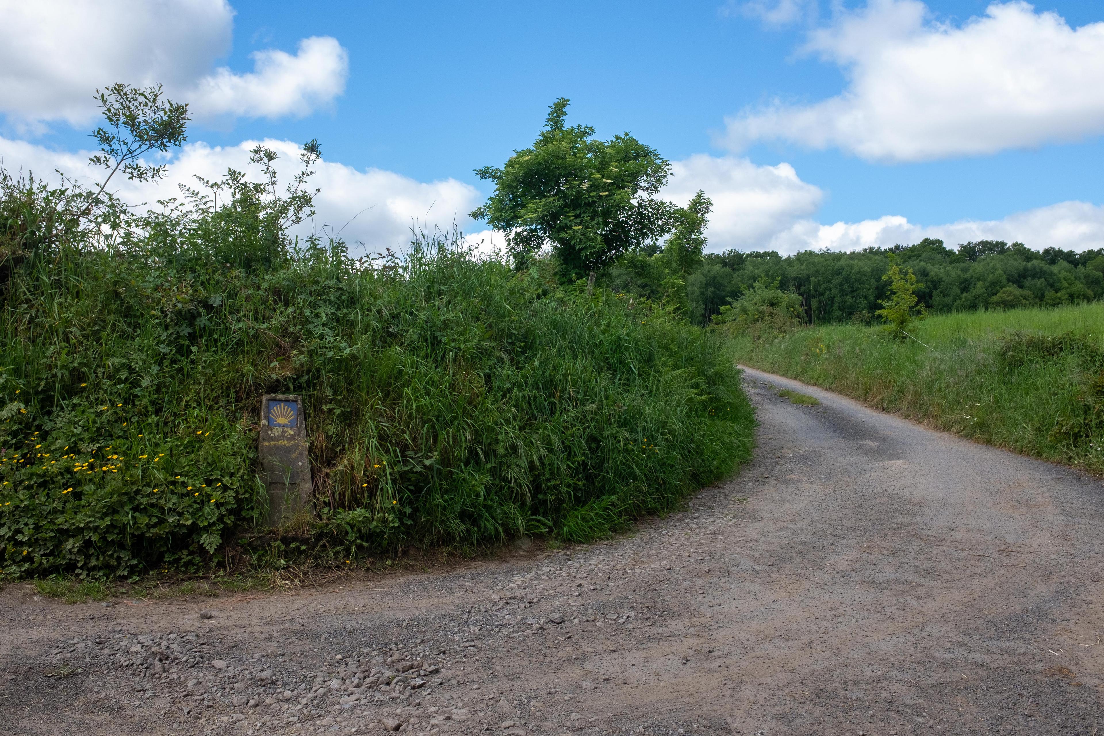 Scenic view of Boán on the Camino Francés