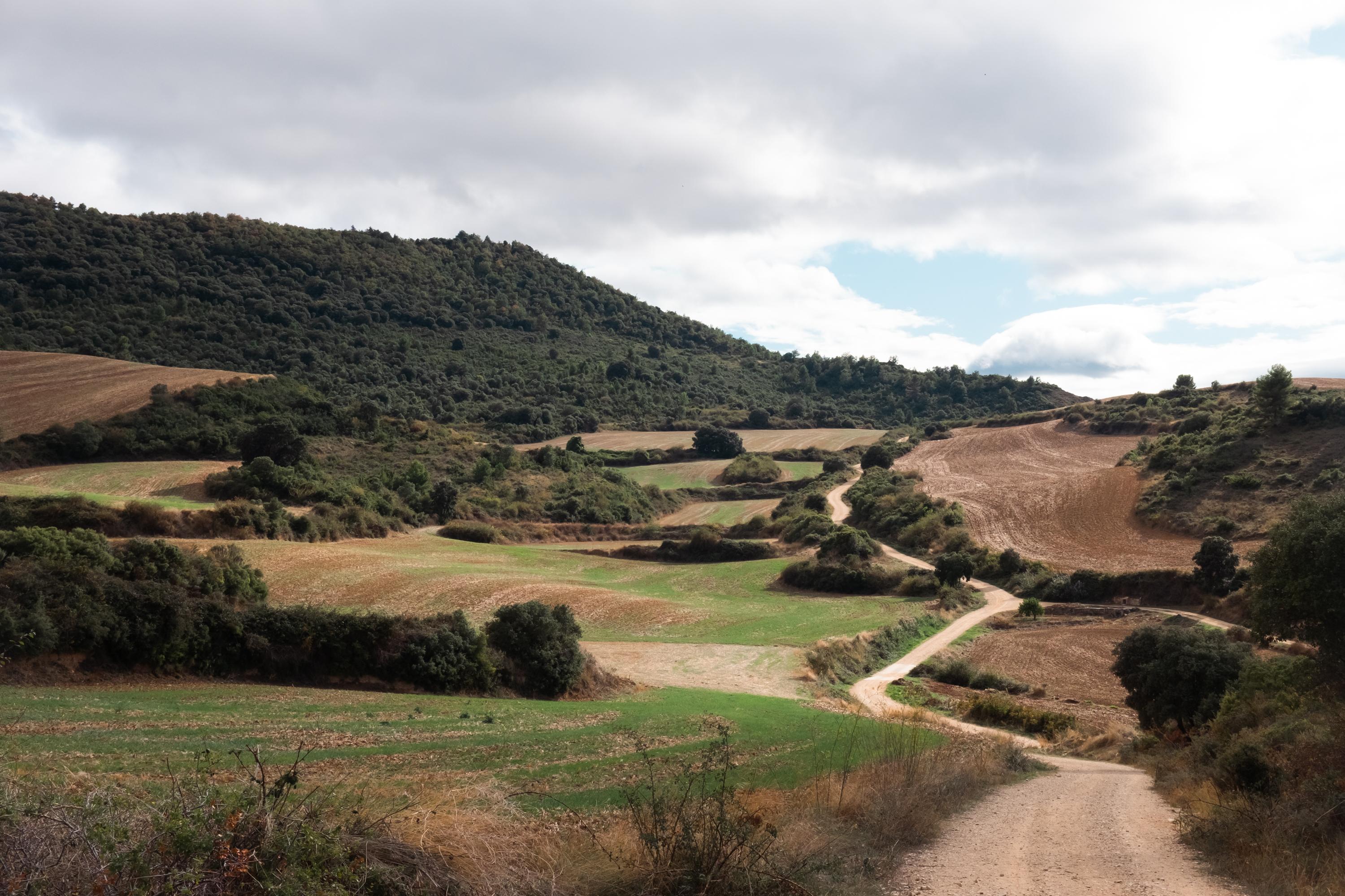 Scenic view of Alternate to Los Arcos via Luquin on the Camino Francés