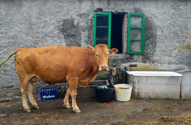 Scenic view of Rozas on the Camino Francés