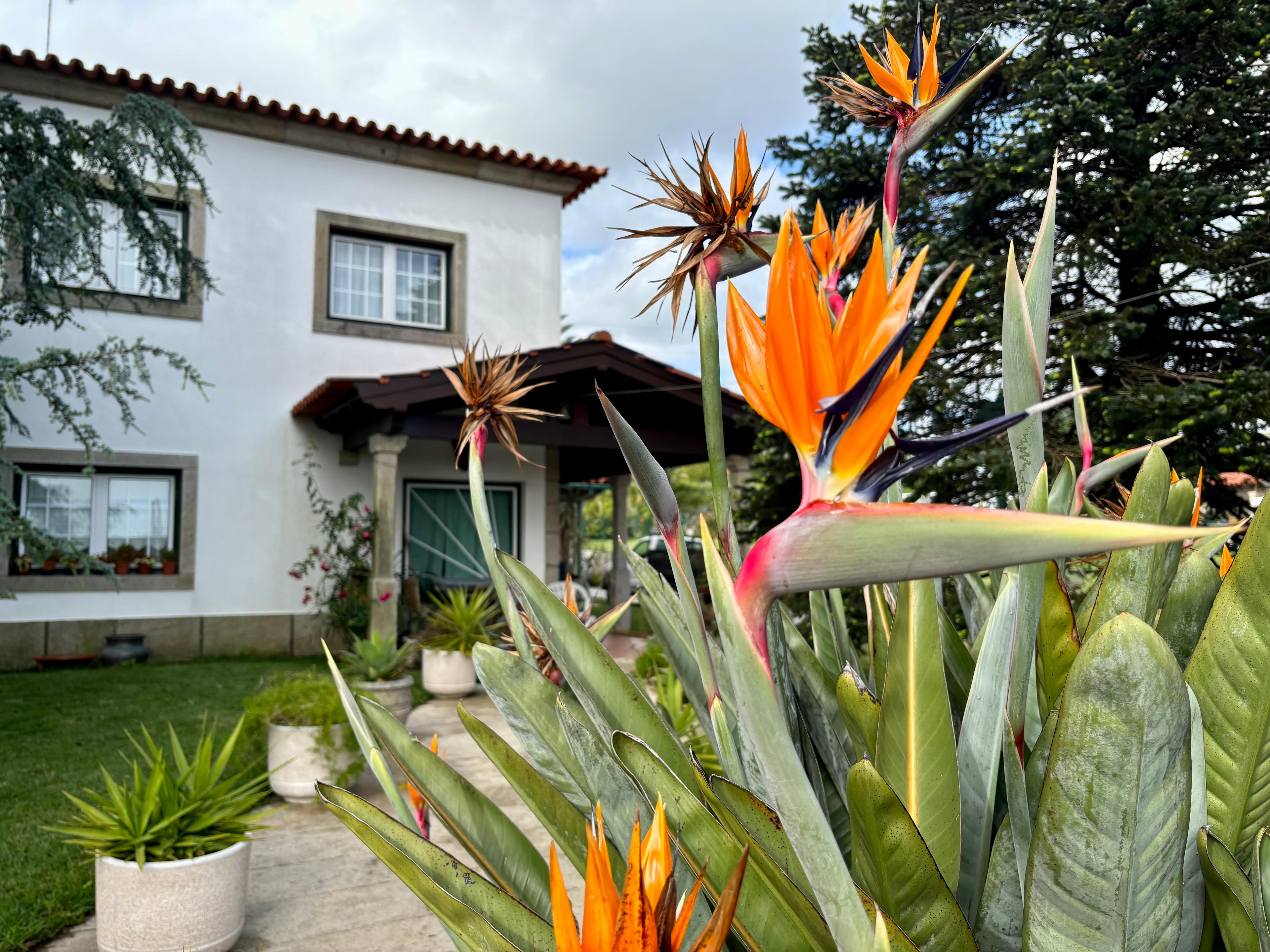 Image of Albergue Casa da Carolina, pilgrim accommodation in Anha